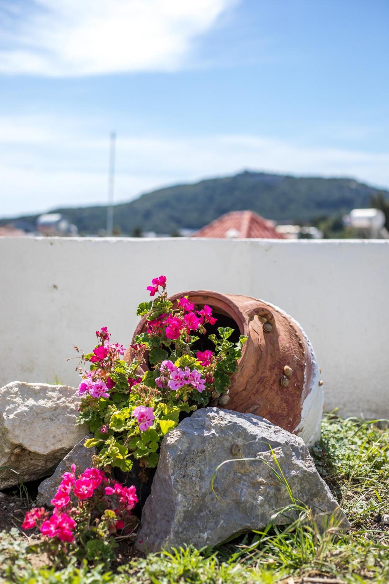 Sunny Villa Faliraki Zewnętrze zdjęcie